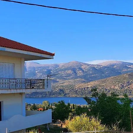 Darya أرغوستولي