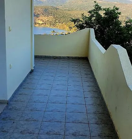 Darya أرغوستولي